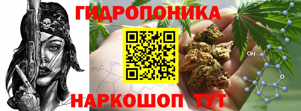 Марихуана OG Kush Клин